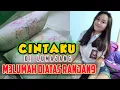 Download Lagu PUAS RASANYA‼️ BANTAL GULING KASUR KAPUK YANG KU CINTA #jemur #jemurkasur #bantal #kasurkapuk