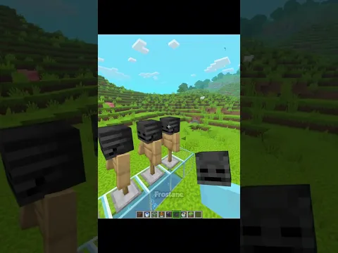 Minecraft Chinese Dragon Moment🐉