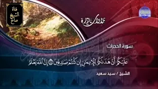 القارئ السيد سعيد    ما تيسر من سورة الحجرات   أداء مميز بصوت متفرد   دندنها