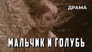 Мальчик и голубь (1961 год) драма