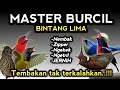 Download Lagu Edan banget !! MASTERAN BURCIL FULL ISIAN TEMBAKAN PALING BAR-BAR ‼️ Download Lagu Edan banget !! MASTERAN BURCIL FULL ISIAN TEMBAKAN PALING BAR-BAR ‼️