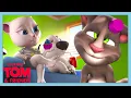 Download Lagu TOM GETS PRANKED! | Talking Tom Shorts | WildBrain Kids