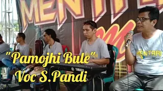 Download Pamoji bule Voc S.pandi MP3