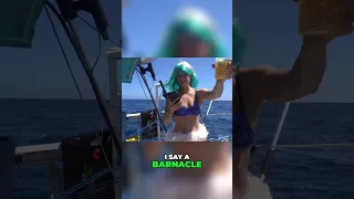 Sailing across the equator! #sailing #ocean #adventure