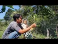 Download Lagu Bermalam hujan gerimis mulai mengecat pondok hutan