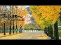 (Vietsub + Hangul) The first time in the first place (처음 그 자리에)__Lee Boram (Full House OST)