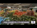 What you need to know about cyclosporiasis How it spreads how it s treated