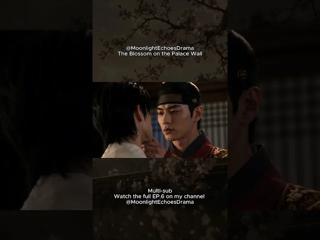 The Blossom on the Palace Wall