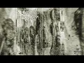 DELUSIONAL VIOLENCE - Jaw Meet Fist-