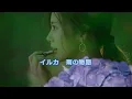 イルカ　雨の物語　歌詞付き