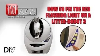 How To Fix a Red Flashing Light on a Litter-Robot 3