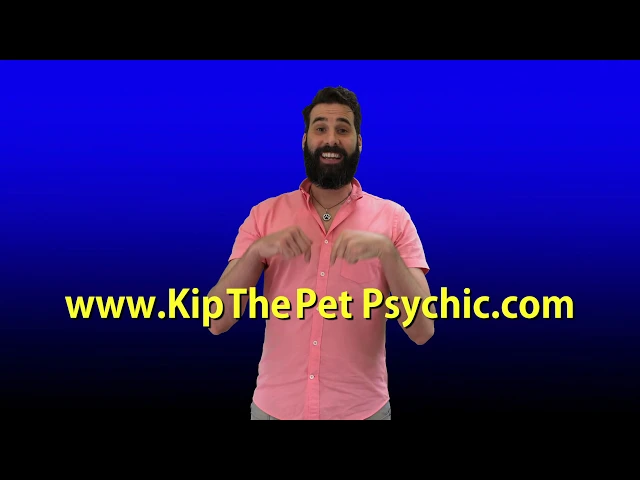 Kip the Pet Psychic commercial