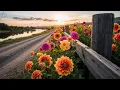 Download Lagu Самая красивая мелодия в мире🌿музыка Сергея Грищука, которую хочется слушать вечно