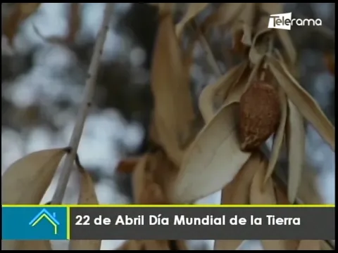 22 de Abril Día Mundial de la Tierra