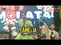 Lagu CAMELIA - TASYA ROSMALA - NEW MONATA - TASYAKURAN YUSUF IVANDER DAMARES PUTRA IBU INUL DARATISTA