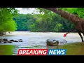 Download Lagu Ekspedisi Terbaru Nat Geo Dipersingkat Setelah Ular Mengerikan Muncul dan Membuat Seluruh Kru Takut