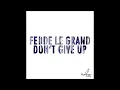Fedde Le Grand - Don't Give Up (Original Mix)