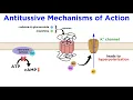 Antitussives Halting the Coughing Reflex Codeine Dextromethorphan Tessalon