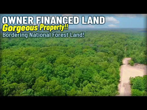 Geez! Owner Financed Land ON the National Forest for $1,500 Down -  ID#DB16 - InstantAcres.com