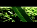 Alva Noto - Xerrox Exosphere