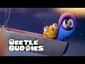 Download Lagu Beste vrienden in het park! 🐛🐞🍔🌭 | Beetle Buddies | Cartooncompilatie