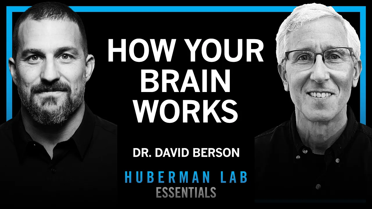 How Your Brain Interprets the World: Neuroscience with Dr. David Berson | Huberman Lab Essentials