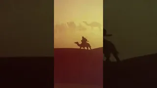 موكب جمال في الصحراء على نغمات موسيقى الشمرة 