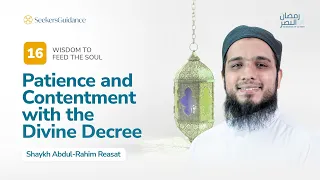 Download Day 16: Patience and Contentment with the Divine Decree | Ramadan Series with Shaykh Abdul Rahim MP3