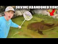 Download Lagu I Saved Abandoned Fish LIVING in Green Slime Pond!