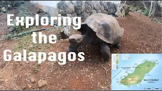 Ep. 83 – Galapagos Tortoises and Van Tour of San Cristobal