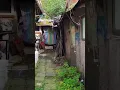 Download Lagu Shanty town in Gangnam. Walking Through Guryong Village, Slum in Seoul. #shorts
