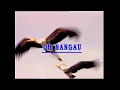 Lagu Kanak-Kanak - Oh Bangau