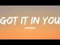 BANNERS-Got It In You (Lyrics Video)