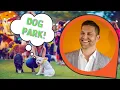 Dog Friendly City Guide Nashville TN