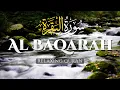 Download Lagu This will Deeply Touch your Heart, Surah Al Baqarah Full (سورة البقره) - AHMAD AL SHALABI