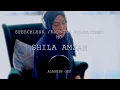 Download Lagu Speechless / Raungan Suara / 沉默 - Shila Amzah - Aladdin Soundtrack