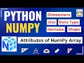 L3 Attributes of NumPy Arrays Dimension Shape Size Data Type Itemsize Python NumPy Tutorial