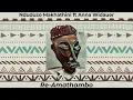 Nduduzo Makhathini - Re-Amathambo (Visualizer) ft. Anna Widauer