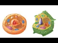 Cells Cells - Parts of the Cell Rap
