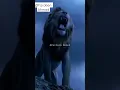 Download Lagu mera Mola Haider Haider 🦁🤲