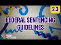2 3 Basics on Federal Sentencing Guidelines 2025