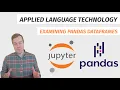 Examining pandas DataFrames
