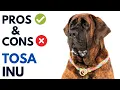 Tosa Inu Pros and Cons Tosa-Ken Japanese Mastiff Dog Advantages and Disadvantages