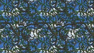 Donkey Kong Country 2 Stickerbush Symphony 1 Hour 