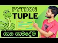 26 Tuple data type Python Programming Sinhala