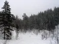Enslaved - Frost