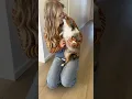 Download Lagu He was sooo tiny! 🥹 #cute #puppy #thenvsnow #baby #dog
