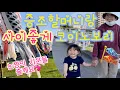 Download Lagu 증조할머니와 함께 고이노보리　노노카
