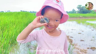 Valak and Her Sister Catching Snails in the Rice Fields | Cambodian Village Life