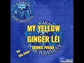MY YELLOW GINGER LEI KARAOKE (DENNIS PAVAO)  HAWAIIAN KARAOKE